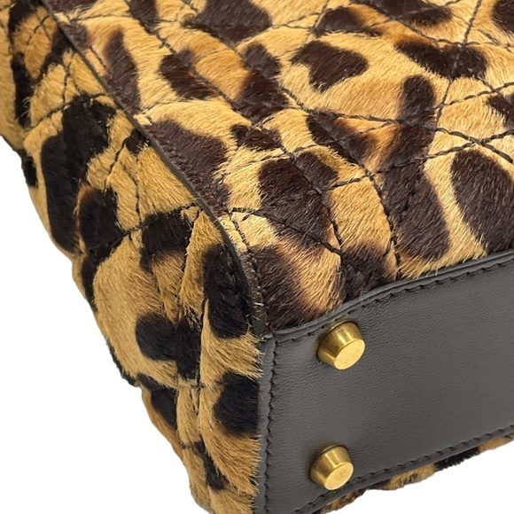 Christian Dior Dior Mini Leopard Handbag - Picture 6 of 12